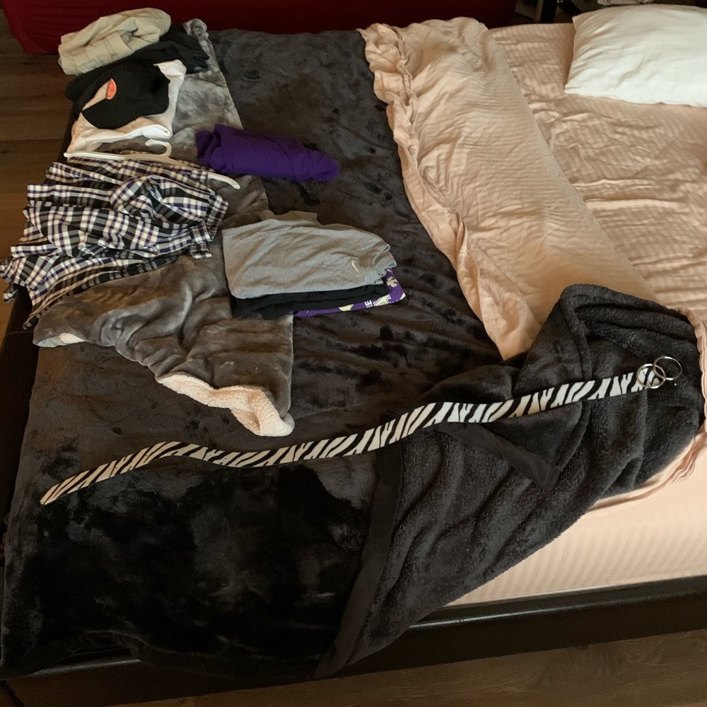 Zebra belt